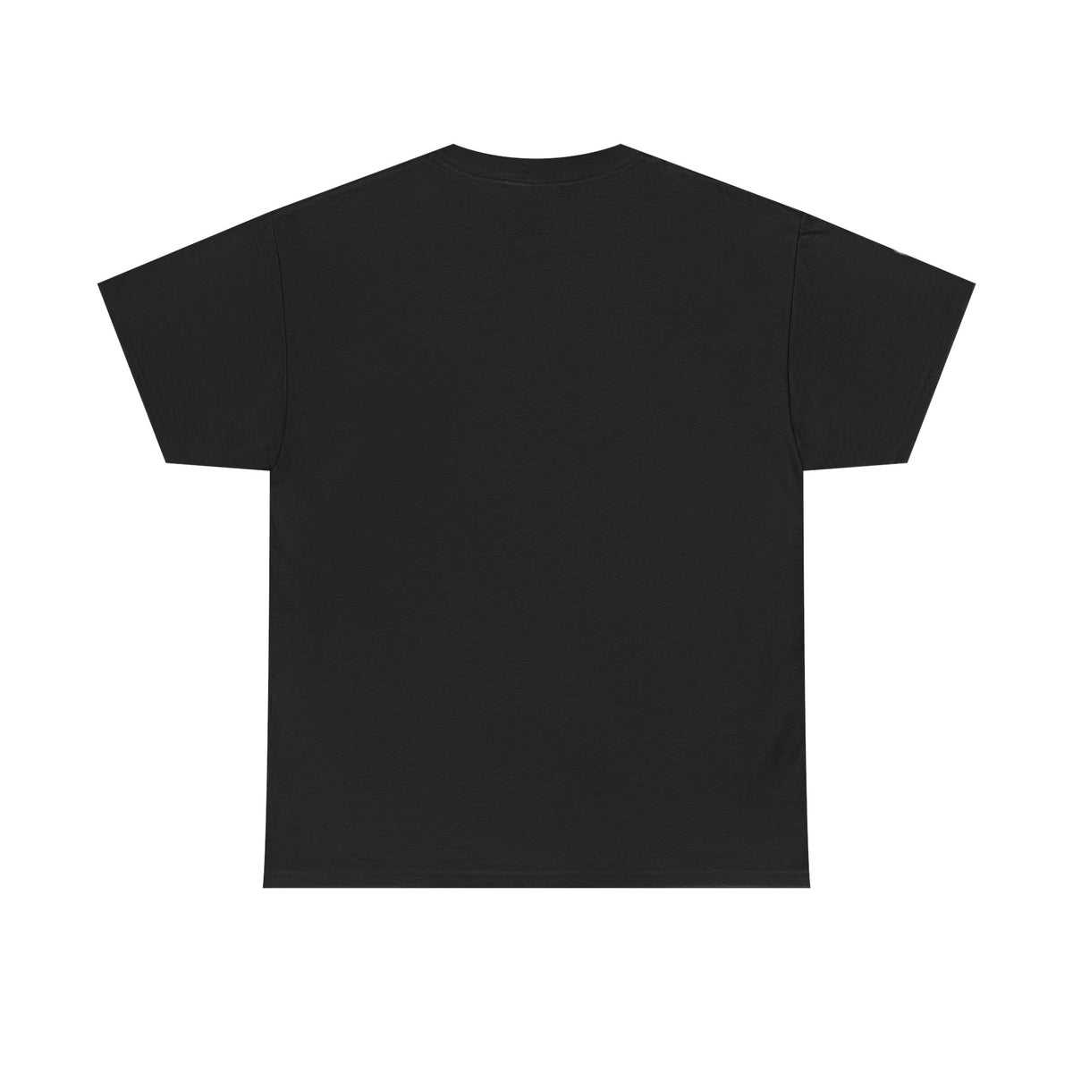 T-Shirt – Pionier-Problem