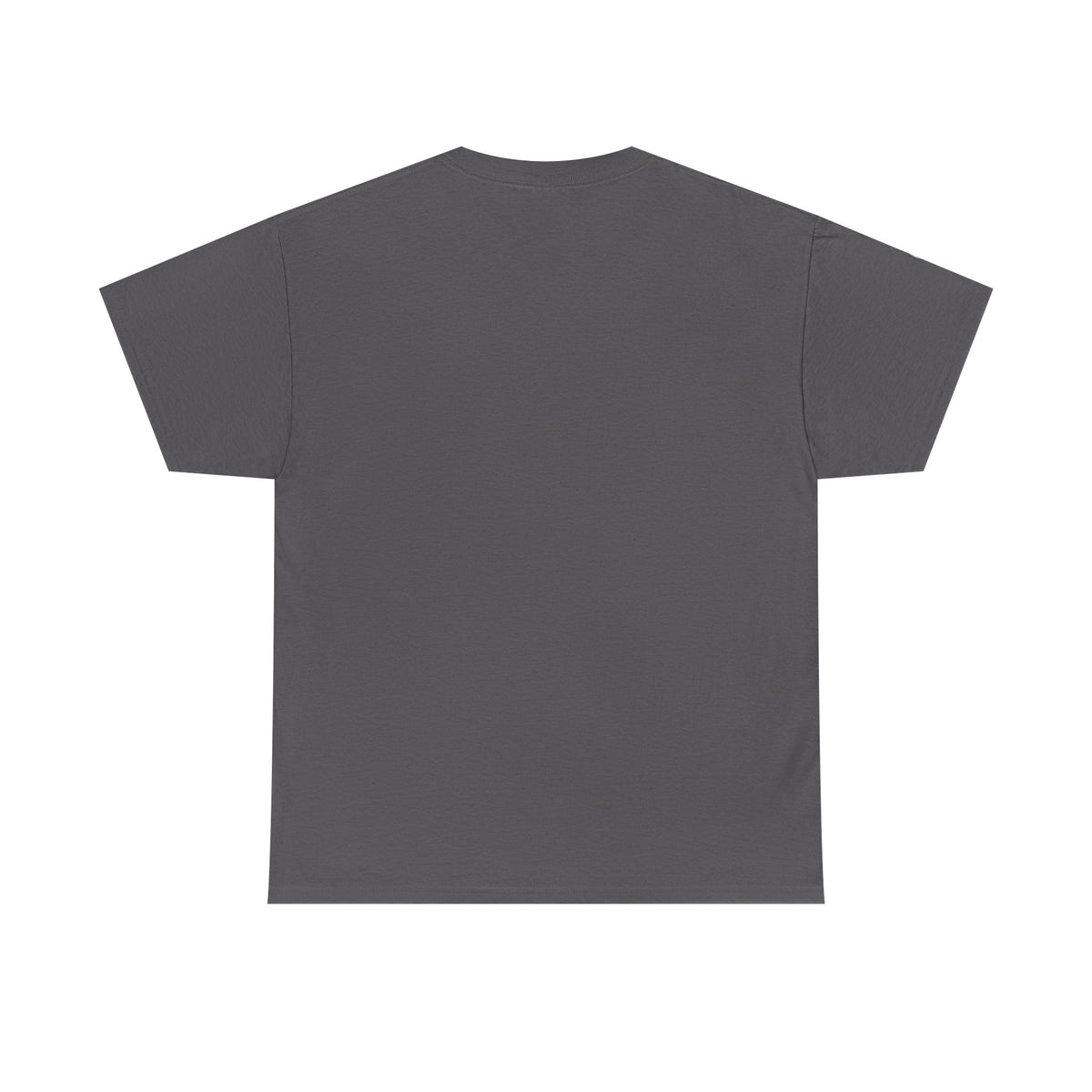 T-Shirt – Pionier-Problem