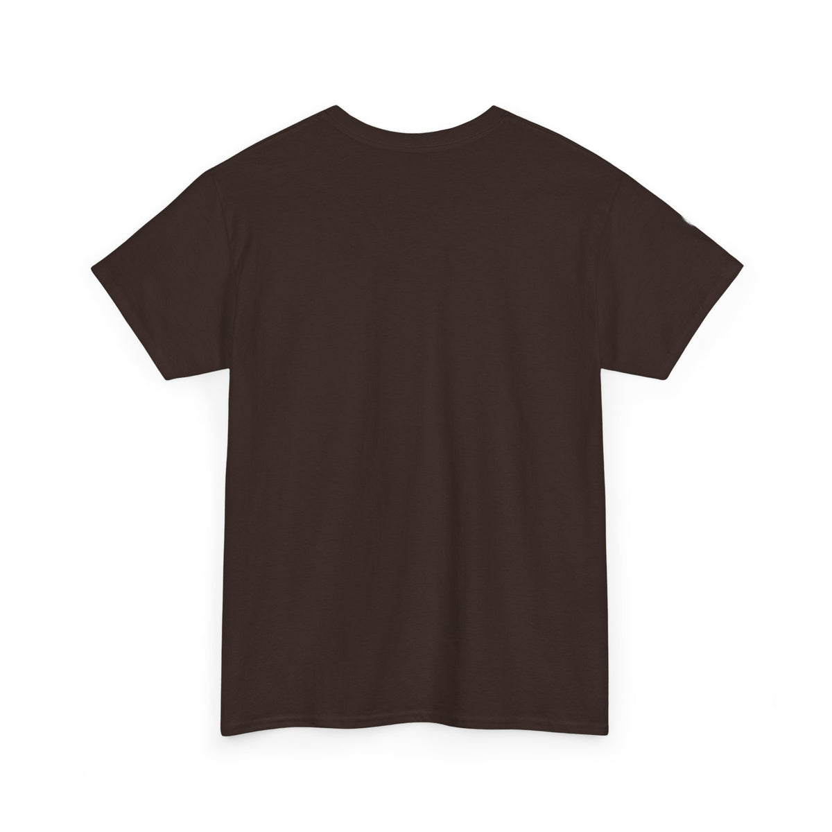 T-Shirt – Pionier-Problem