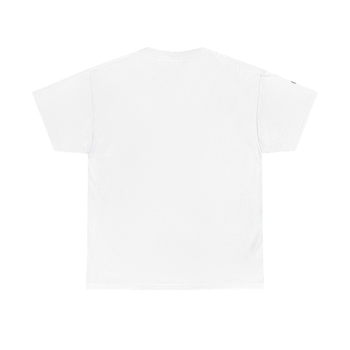 T-Shirt – Pionier-Problem